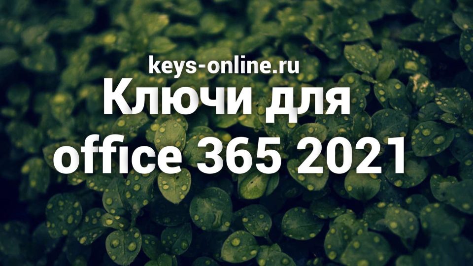 Ключи для office 365 2021