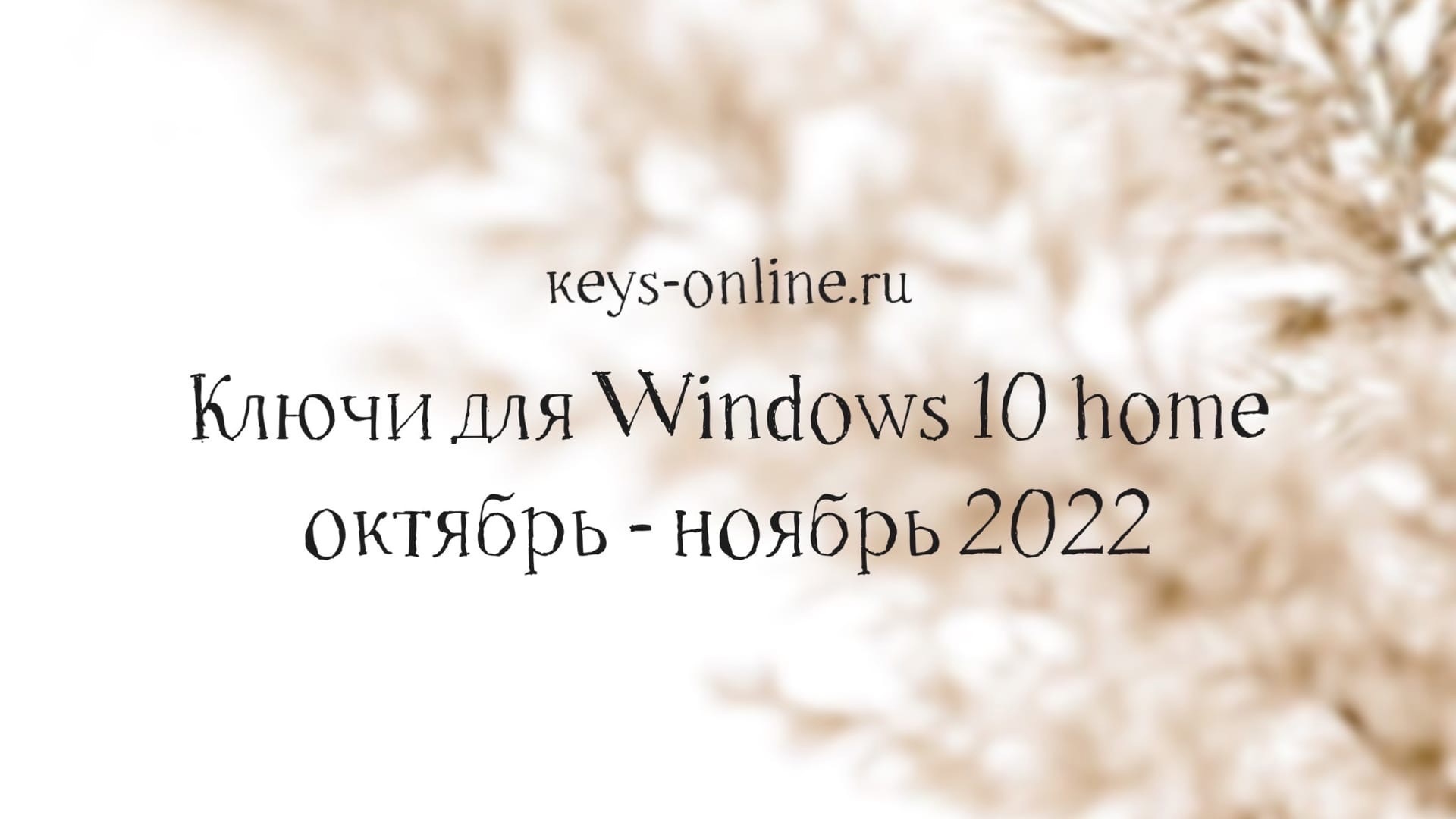 Ключи для WIndows 10 home  октябрь — ноябрь 2022