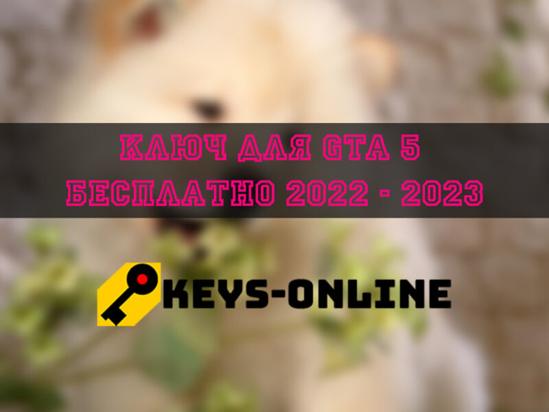 Ключ для Gta 5 бесплатно 2022 — 2023