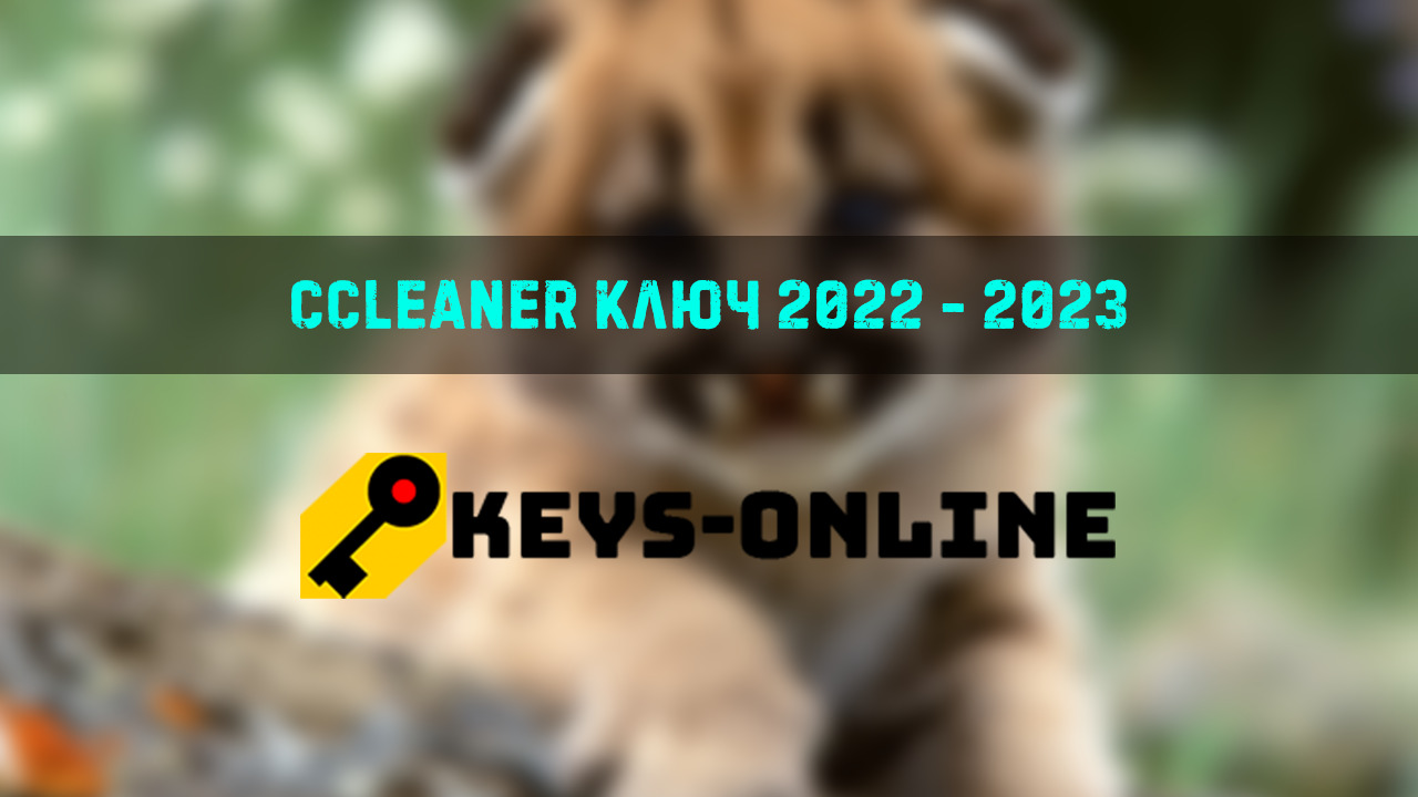 ccleaner ключ 2022 — 2023
