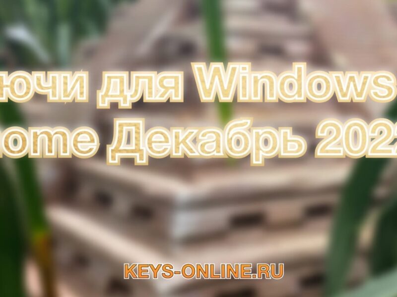 Ключи для Windows 10 home Декабрь 2022