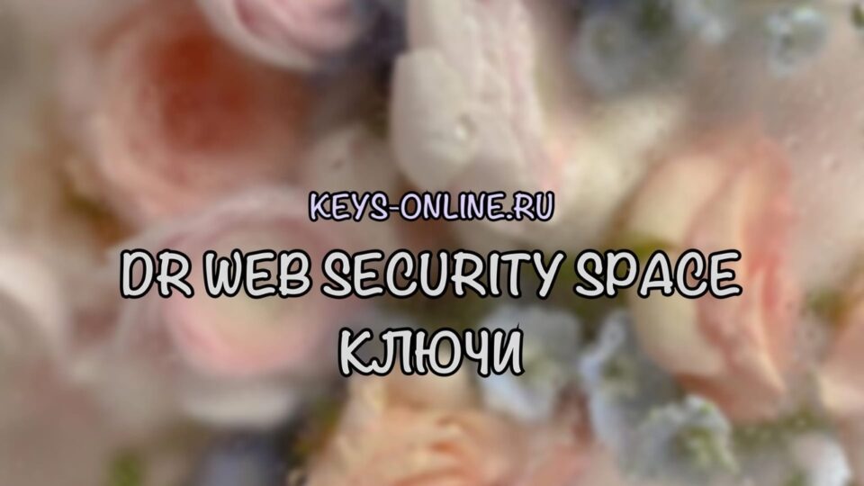 dr web security space ключ