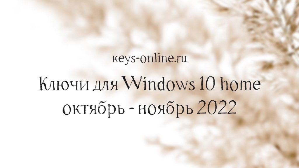 keyswindows10homeoctober-november2022
