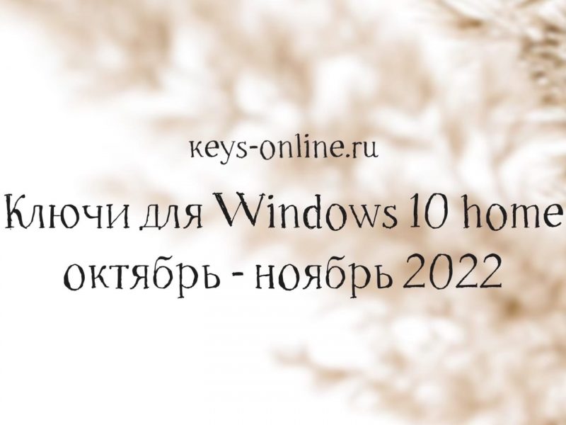 Ключи для WIndows 10 home  октябрь – ноябрь 2022