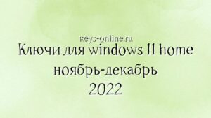 klyuchi-dlya-windows-11-home-noyabr-dekabr-2022
