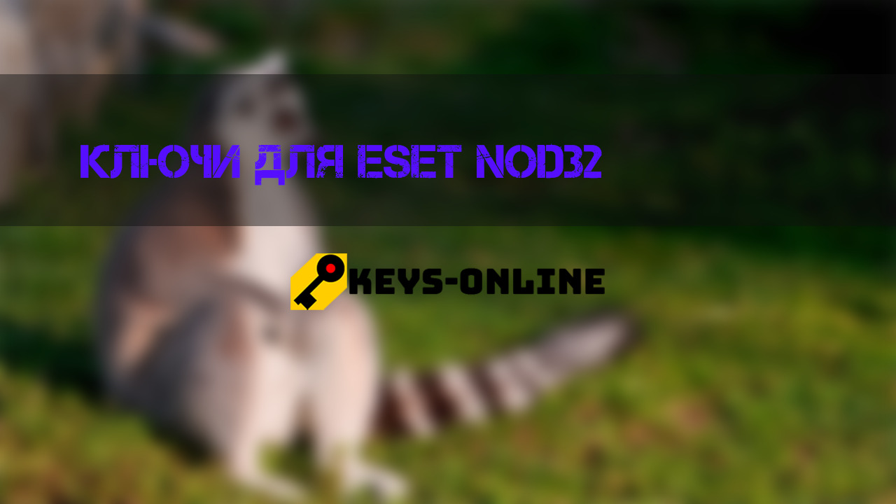 Ключи для ESET NOD32 ноябрь 2022