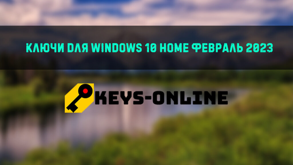 Ключи для WIndows 10 home февраль 2023