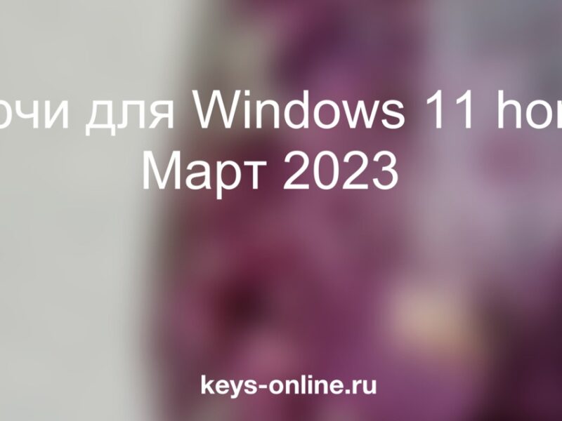 Ключи для Windows 11 home Март 2023